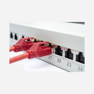 Digitus DN-91624S-EA Panneau de Brassage CAT 6A 24 Ports Gigabit Ethernet 1U Montage Rack Réglettes LSA Blindé, Acier Galvanisé 1.5mm - Miniature 3