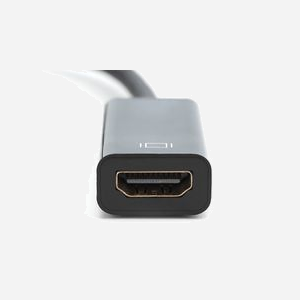Digitus Adaptateur DisplayPort 1.1a vers HDMI Type A (Standard) Femelle, résolution 1920x1080p 60Hz, câble 0.15m, contacts nickel, noir - Miniature 4