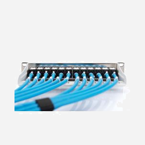 Digitus Câble Installation CAT 6A U-FTP 100m, AWG23/1, 500 MHz, PoE, LSZH, Classe Eca, Ethernet 10GBit, U/FTP (STP) Bleu - Miniature 2
