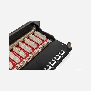 Digitus Panneau de Brassage Cat.6a 12 Ports 1U 10" Blindé RJ-45, Métal Noir, pour Câbles AWG 22/26, 10 Gigabit Ethernet, DN-91612S-EA - Miniature 3