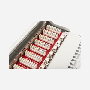 Digitus Panneau de Brassage Cat.6a 12 Ports 1U 10" Blindé RJ-45 Métal Gris - Compatible 10 Gigabit Ethernet - AWG 22/26 - DN-91612S-EA-G - Miniature 5