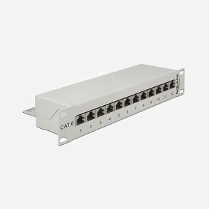 DeLOCK 43299 Baie de Branchements 1U Rackable, 12 Ports RJ-45, Gris, Dimensions 254 x 44 x 109 mm