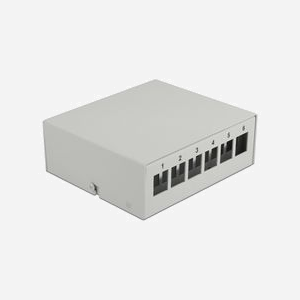 DeLOCK Panneau de Distribution Keystone 6 Ports Gris Métal 112.5x123.5x45.2mm avec Serre-Câbles et Clips Rail DIN Ref. 43410 - Miniature 1