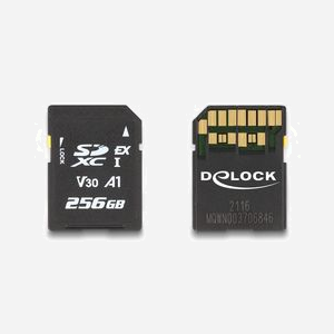 DeLOCK Carte Mémoire SD Express 256Go, Lecture 858Mo/s, Écriture 804Mo/s, UHS-I U3 V30, MTBF 3000000h, Température -25°C à 85°C
