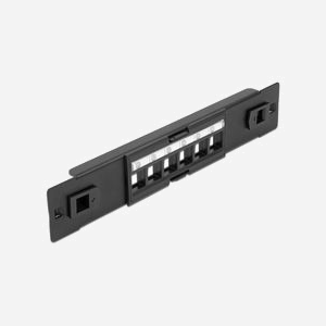 DeLOCK Panneau de Distribution 10" 1U 6 Ports Keystone, Installation Sans Outil, Noir, 44x12x254mm, Référence 66819