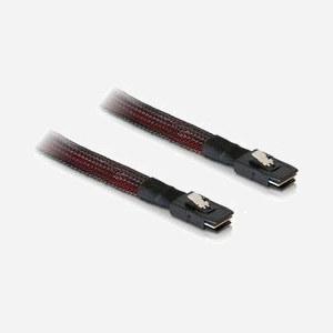 DeLOCK Câble SAS M/M 0.1m - Connecteur SFF 8087 vers SFF 8087 - Longueur 10cm - Noir/Rouge - Code douanier 84733080
