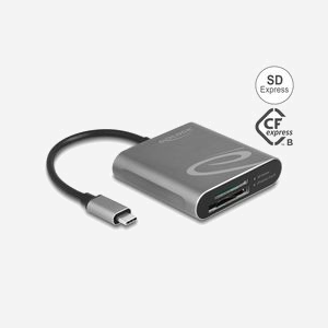 DeLOCK Lecteur Cartes Mémoire 91000 USB 3.2 Gen 2 Type-C pour CFexpress & SD Express, 2 Slots, Aluminium Gris, Transfert 10000 Mbit/s