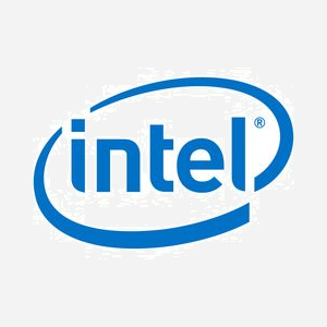 Intel AXXRMM4LITE2 Adaptateur de Gestion à Distance, Série Management Module Options, ID ARK 91525, Quantité 1, ECCN EAR99, Code SH 8471801000