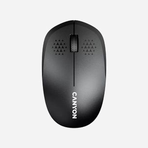Canyon Souris Bluetooth 5.0 CNS-CMSW04B Optique 1200 DPI Ambidextre 3 Boutons Programmables Noir (AA)