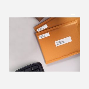 Étiquettes DYMO LW Grand Format Retour S0722520, 25 x 54mm, Papier Adhésif Permanent, 500 étiquettes/rouleau, Compatible LabelWriter - Miniature 2