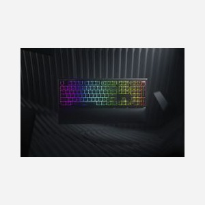 Clavier Razer Ornata V2 USB Français Noir RZ03-03380500-R3F1 : Membrane, Razer Green, 1000Hz, Rétroéclairage Multicolore, Repose-poignets. - Miniature 2