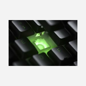 Clavier Razer Ornata V2 USB Français Noir RZ03-03380500-R3F1 : Membrane, Razer Green, 1000Hz, Rétroéclairage Multicolore, Repose-poignets. - Miniature 4