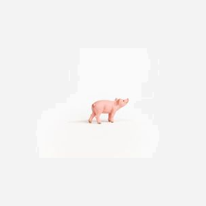 schleich FARM WORLD Figurine Porcelet 13934, 3-8 ans, Cochon Rose, 59x22x33mm, 11.2g, Plastique, Viêt Nam, Avertissement de sécurité applicable. - Miniature 4