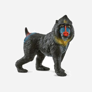 Figurine Schleich WILD LIFE Mandrill 14856, 3+, 65x30x61mm, 31.4g, Animaux, Mandrin, Viet Nam, Matériau Plastique, 1 pièce(s) par emballage