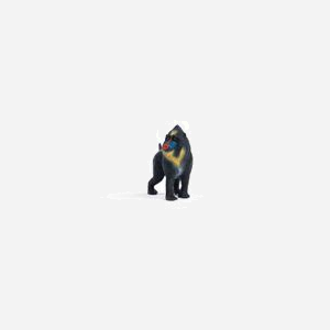 Figurine Schleich WILD LIFE Mandrill 14856, 3+, 65x30x61mm, 31.4g, Animaux, Mandrin, Viet Nam, Matériau Plastique, 1 pièce(s) par emballage - Miniature 5