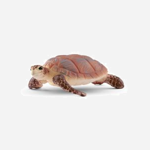 Figurine Tortue schleich WILD LIFE 14876, 65x55x20mm, 16g, Âge recommandé 3-8 ans, Avertissement : Ne convient pas aux enfants de moins de 3 ans.