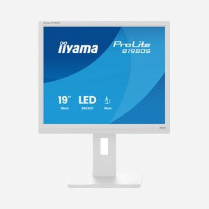 iiyama ProLite B1980S-W1 Écran 19" LED SVGA 1280x1024 5:4 3ms TN 250cd/m² HDMI DisplayPort 1.2 Haut-parleurs VESA Blanc Réglable en Hauteur - Miniature 4