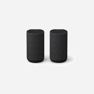 Sony SA-RS5 Enceintes 2-Voies 180W RMS Noir (Paire) : Tweeter 1.4cm, Woofer, Amplificateur Intégré, Connectivité Filaire/Sans Fil, Alimentation Secteur/Batterie - Miniature 2