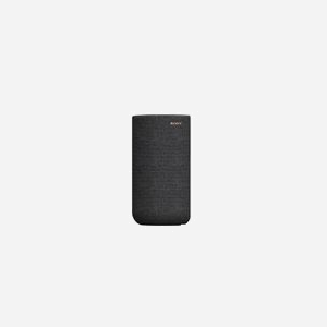 Sony SA-RS5 Enceintes 2-Voies 180W RMS Noir (Paire) : Tweeter 1.4cm, Woofer, Amplificateur Intégré, Connectivité Filaire/Sans Fil, Alimentation Secteur/Batterie - Miniature 4