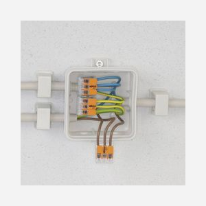 Borne de connexion Wago 221-412-100, 2 conducteurs, 0.14-4mm², 450V/32A, Technologie CAGE CLAMP, boîtier transparent pour contrôle visuel - Miniature 3