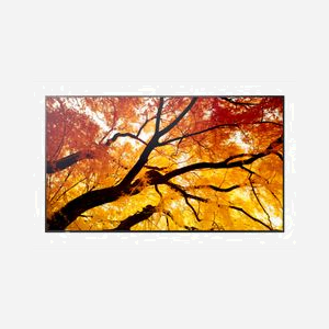 Sharp MultiSync M432 - Écran Signalisation Numérique 42.5" LCD 4K Ultra HD (3840x2160) 550 cd/m² IPS, HDMI/DisplayPort, LAN, USB-C, Noir