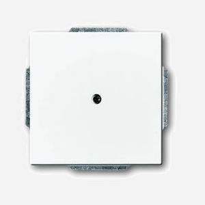 ABB 2CKA001710A3161 Disque Central Aveugle - Composant électrique non spécifié - Miniature 1
