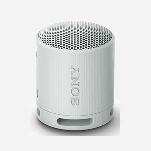 Enceinte portable mono Sony SRS-XB100H Gris - Bluetooth 5.3, profils A2DP/HFP/AAC/AVRCP/SBC, USB Type-C, IP67, autonomie 16h, 76x95x95mm, 274g