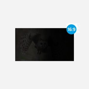NATEC NFP-1616 Filtre de confidentialité sans bords 13.3" (33.8 cm) 16:9, angle de vue 30°, LCD, 293.9 x 165.5 mm, noir - Miniature 3