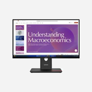 Lenovo ThinkVision T24D-40 Écran LCD 23.8" Full HD (1920x1080) IPS 6ms 120Hz, Hub USB-C (100W), DisplayPort 1.4, HDMI 1.4, Ethernet, Noir