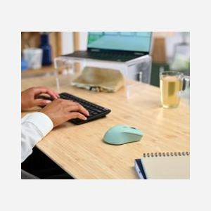 Souris Trust Mydo 25042 Ambidextre Optique sans Fil 2.4GHz 1800 DPI Vert, 4 Boutons, Portée 10m, USB-A, 1xAA, Windows/macOS/ChromeOS - Miniature 5
