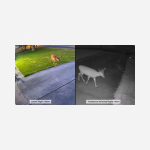 Reolink Caméra IP Extérieure W320X 4MP 2560x1440 CMOS 1/1.8" PoE WiFi Audio Bidirectionnel IR LED IP67 Compatible MicroSD & Google Assistant - Miniature 2
