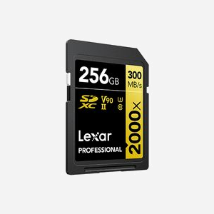 Lexar LSD2000256G-BNNNG Carte Mémoire SDXC 256 Go Classe 10 UHS-I U3 V90 Lecture 300 Mo/s Écriture 260 Mo/s, Protection Choc Température Rayons X - Miniature 2