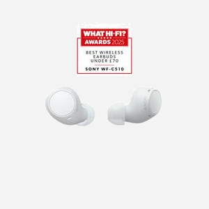 Sony WF-C510 Blanc : Écouteurs True Wireless Bluetooth 5.3, IPX4, Autonomie 11h (ANC Off) / 8h (ANC On), Recharge Rapide, Microphone Intégré