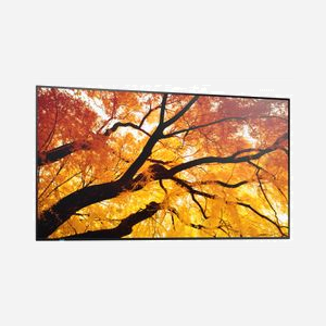 Sharp MultiSync M552 - Écran LCD 55" 4K Ultra HD Tactile, Rétroéclairage LED Direct, IPS, 550 cd/m², 3840x2160, HDMI, DisplayPort, USB, Noir - Miniature 5
