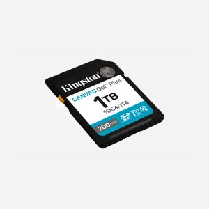 Kingston Technology Canvas Go! Plus SDXC 1TB UHS-I U3 V30 Classe 10 Lecture 200Mo/s Écriture 160Mo/s pour DSLR, mirrorless et vidéo 4K UHD - Miniature 2