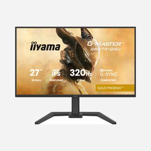 iiyama G-MASTER GB2791QSU-B1 écran 27" WQHD 2560x1440 16:9 mat 178° USB 3.2 Gen 1 VESA noir