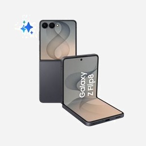 Samsung Galaxy Z Flip8 6.9" 5G Double SIM 12 Go RAM 256 Go USB Type-C 4300 mAh Graphite SM-F776BZKGEUB