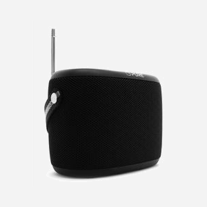 Enceinte Bluetooth Pure Woodland Portable 10W DAB+/FM Bluetooth 5.1 Batterie 14h Étanche Noir - Miniature 2