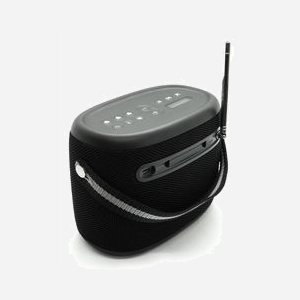 Enceinte Bluetooth Pure Woodland Portable 10W DAB+/FM Bluetooth 5.1 Batterie 14h Étanche Noir - Miniature 3