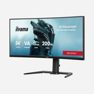 Écran iiyama G-MASTER GCB3484WQSU-B2 34" UltraWide QHD 3440x1440 LCD 21:9 USB 3.2 Hub réglable en hauteur noir - Miniature 4