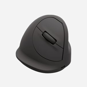 Souris Fellowes 100143579 optique verticale droitier 1600 DPI Bluetooth et USB Type-C avec câble d'alimentation noir